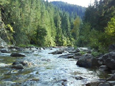 004 Idaho Rocky River Wild Camp.jpg